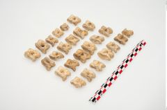 Foto von Astragalknochen (NHMW-PRAE-025128)